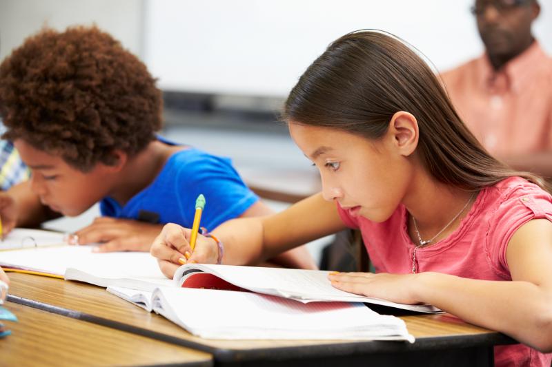 Photo of elementary students in the classroom