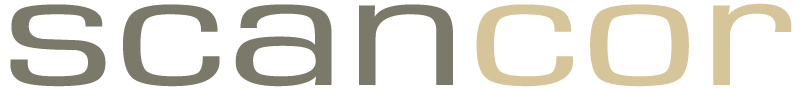Logo for Scandinavian Consortium for Organizational Research