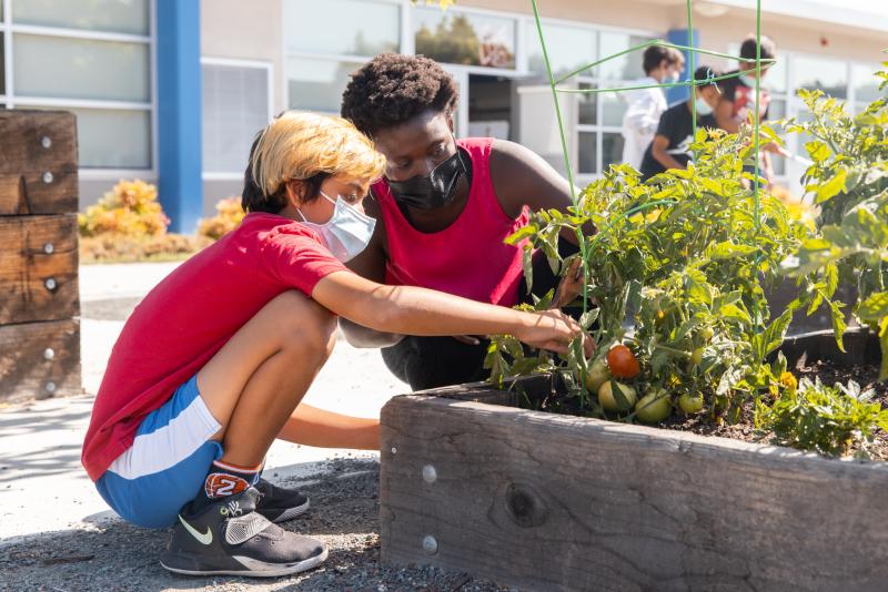 To help ease the re-entry into school life, Lakewood students participated in “passion projects” such as tending a vegetable garden in the school courtyard. (Photo: Andrew Brodhead)