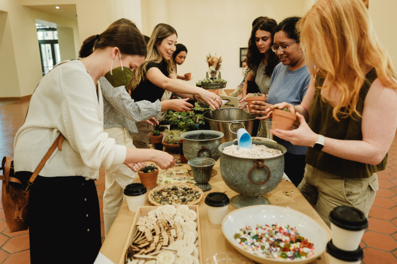 Students, faculty, and staff got their hands dirty in an event titled "Planting Your Roots at the GSE," in which the community potted succulents to decorate their desks. (Photo: Ryan Zhang)