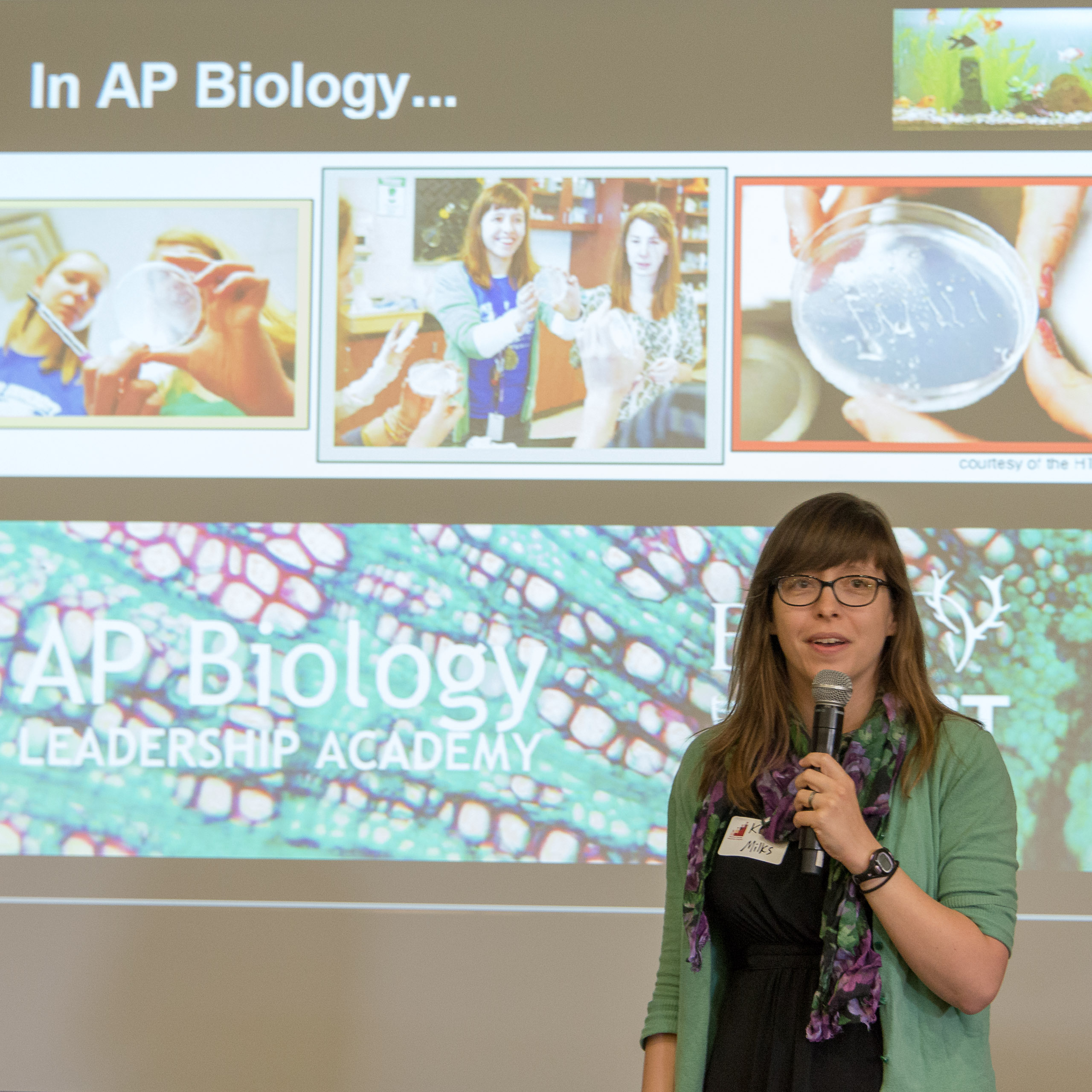 Kirstin Milks, PhD ’09, MA ’10, shares instructional strategies at the 2014 STEP Conference at Stanford.