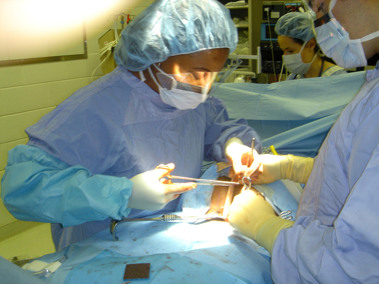 Carla Pugh performs an incarcerated inguinal hernia repair in 2004 in the operating room of Jesse Brown VA Medical Center in Chicago.