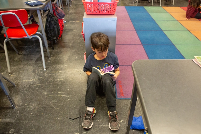 Child reading a picture book
