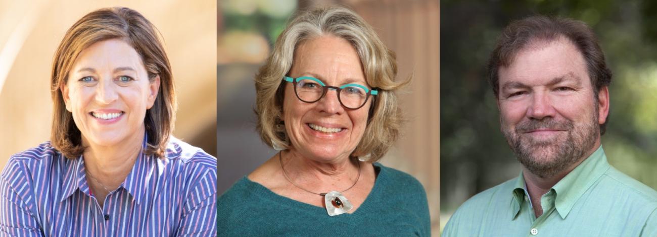 Jo Boaler, Hilda Borko, Woody Powell